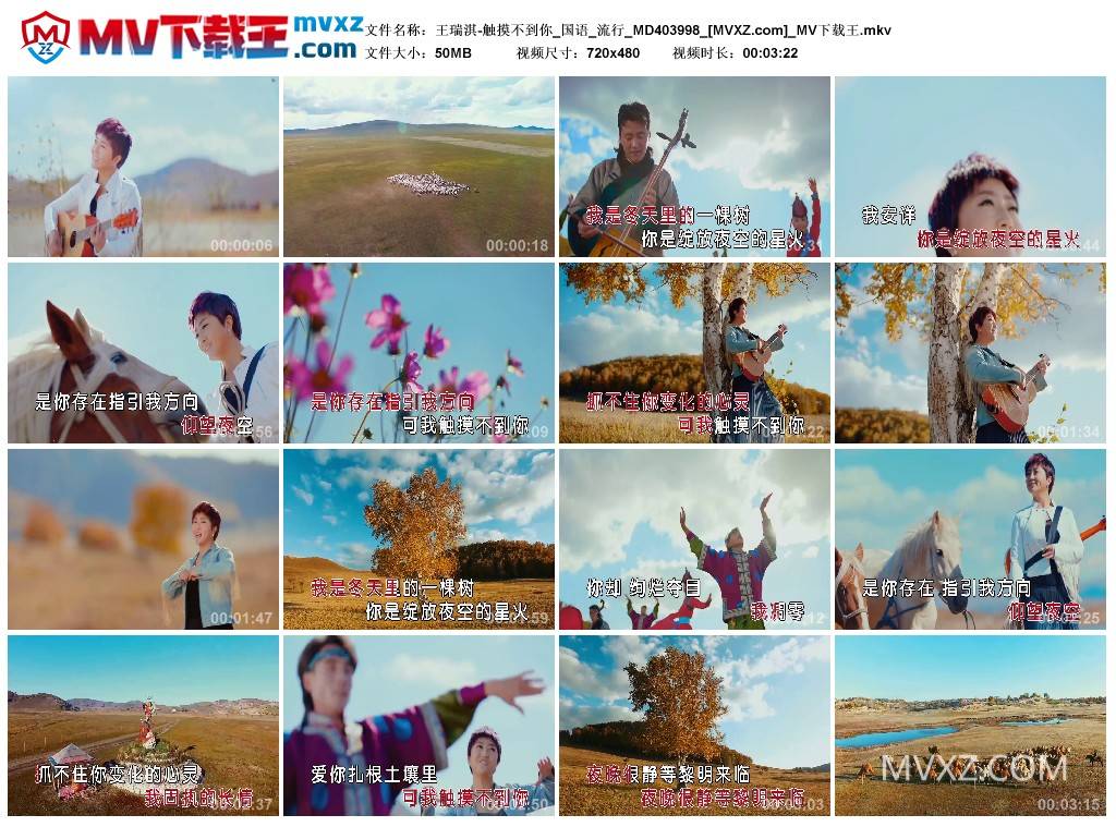 王瑞淇-触摸不到你_国语_流行_MD403998